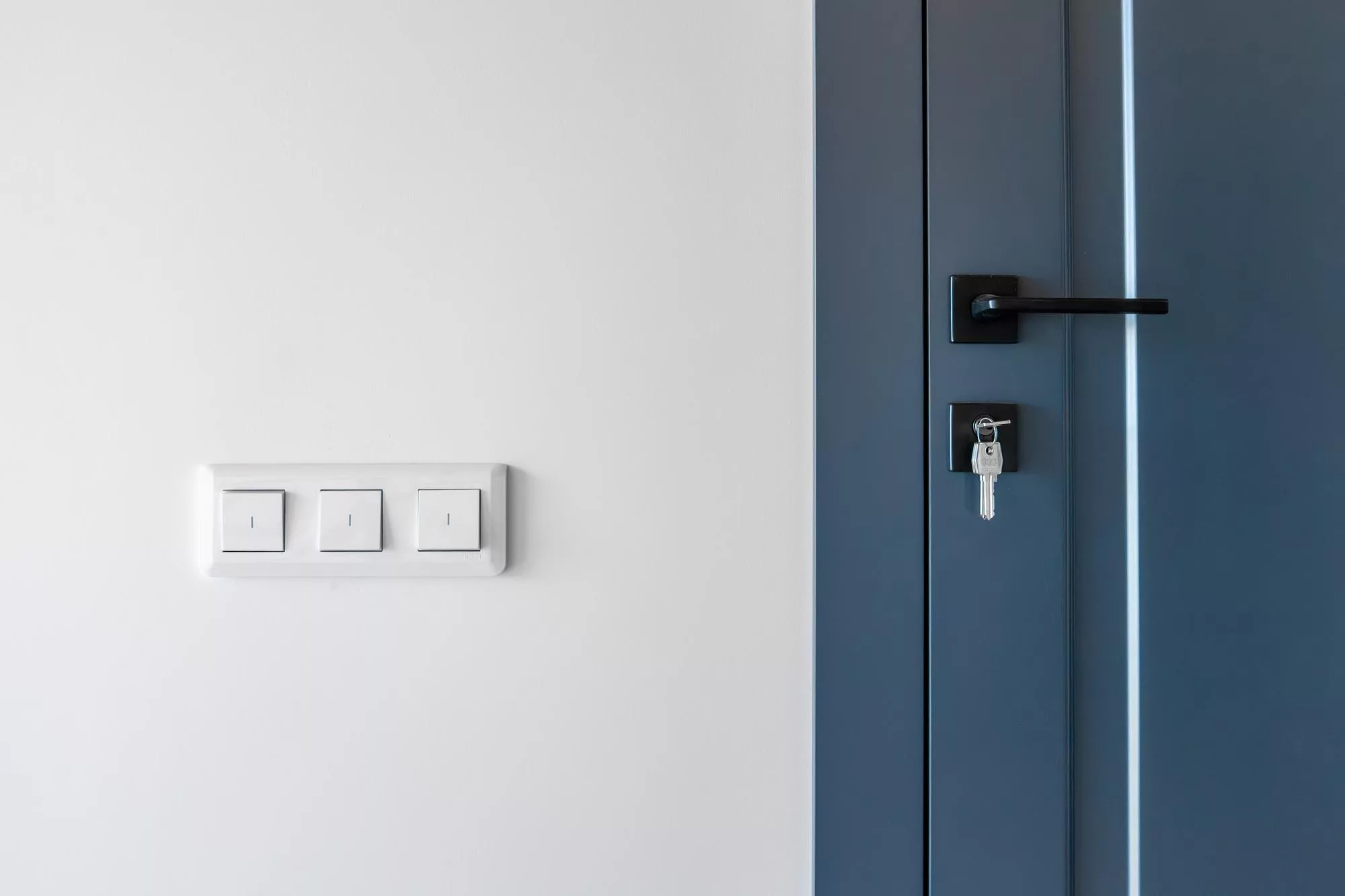 電子鎖 / 智慧門鎖 (Smart Locks)